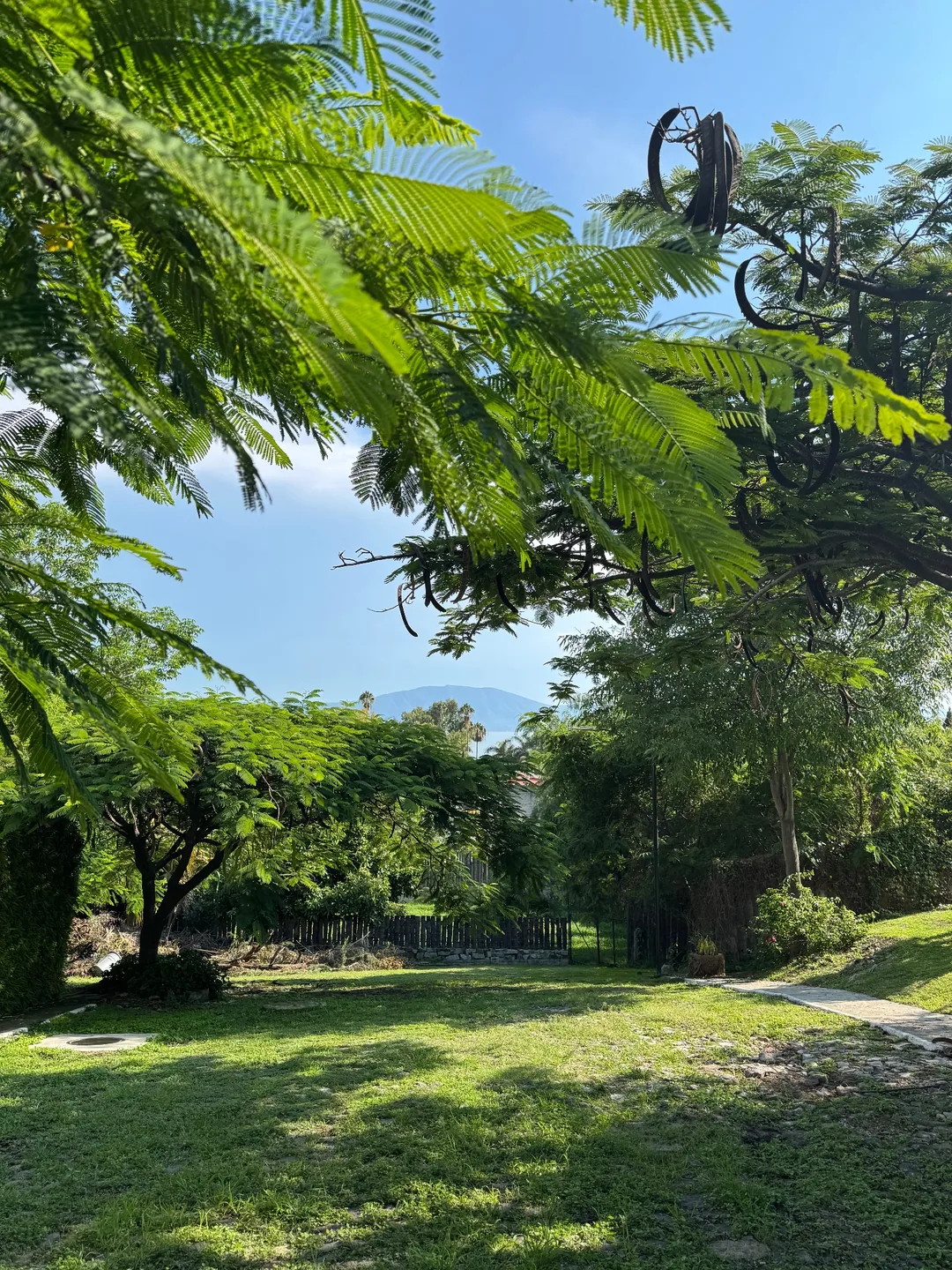 Vista del vivero o invernadero — Plantas