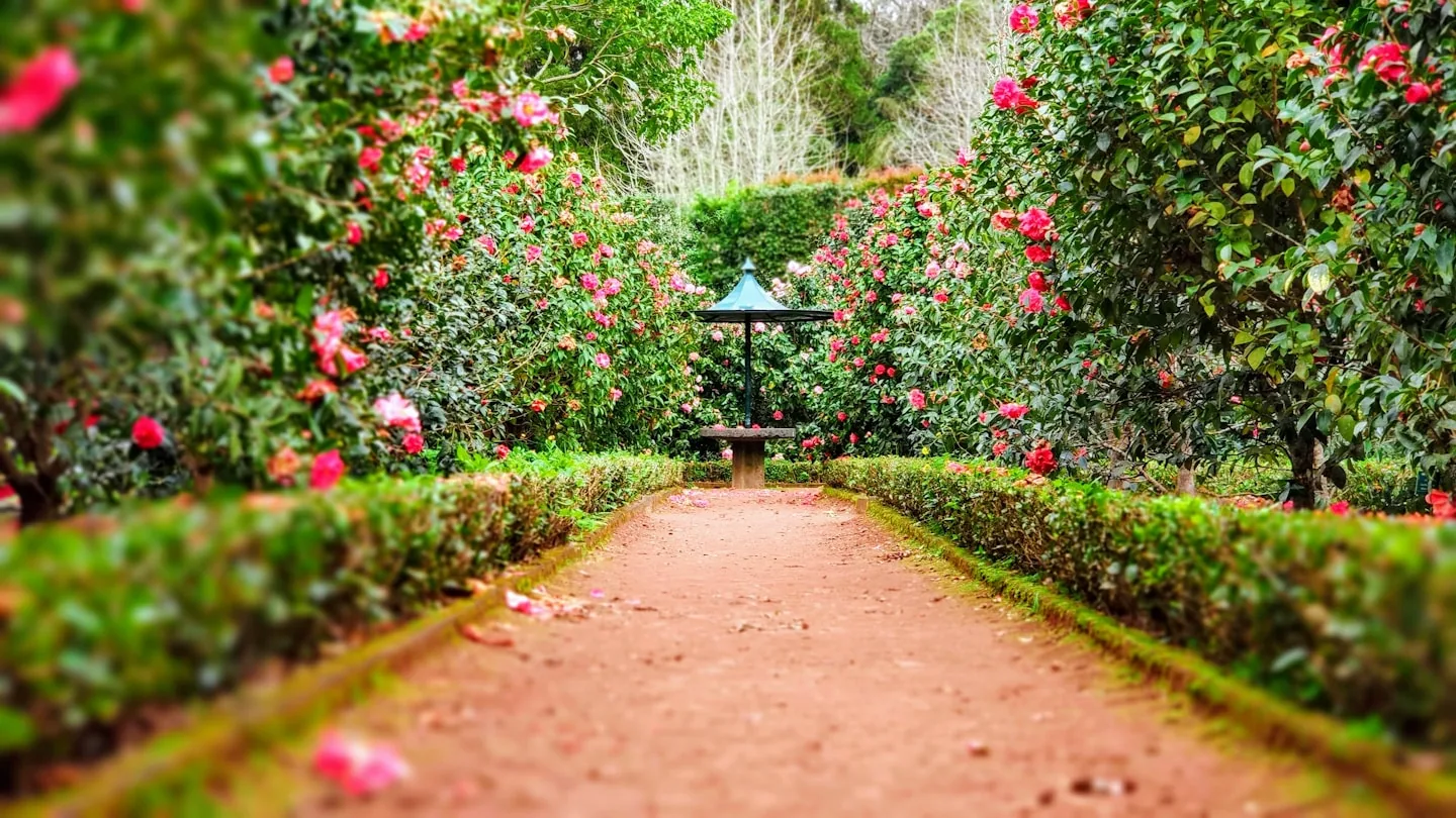 Vivero Valle Real Imágenes del vivero 2